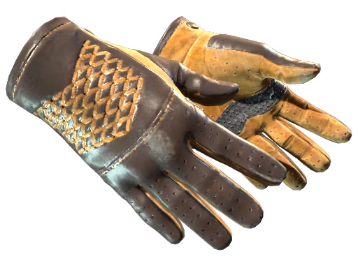 ★ Driver Gloves | Overtake (Well-Worn)