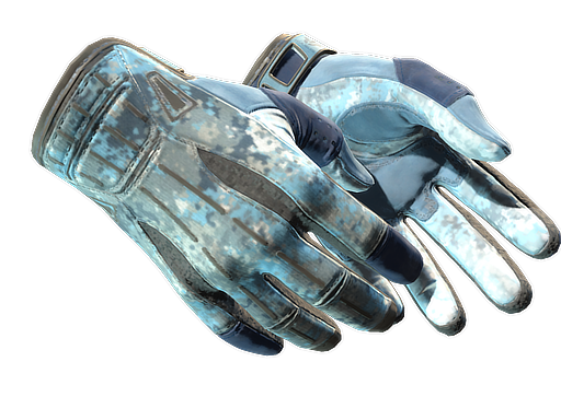 ★ Sport Gloves | Frosty