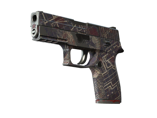 P250 | Facility Draft (Well-Worn)