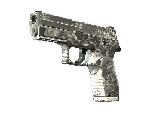 P250 | Sleet (Battle-Scarred)