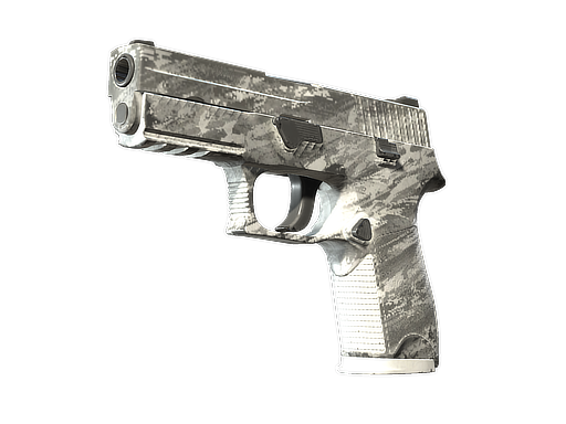 P250 | Sleet (Field-Tested)